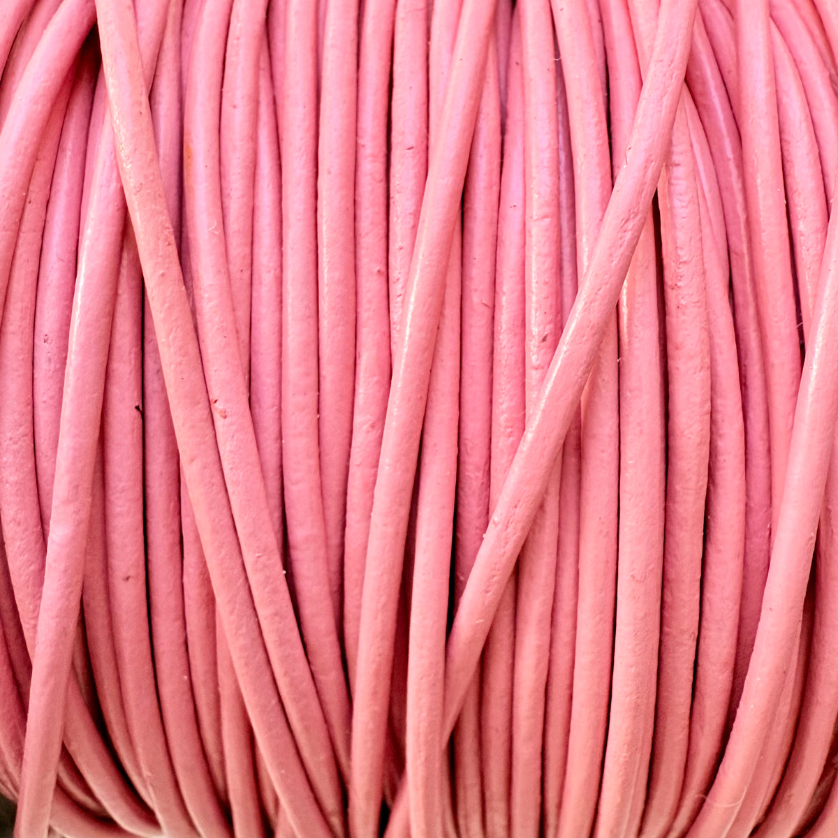 Close-up of pink cord or cable
